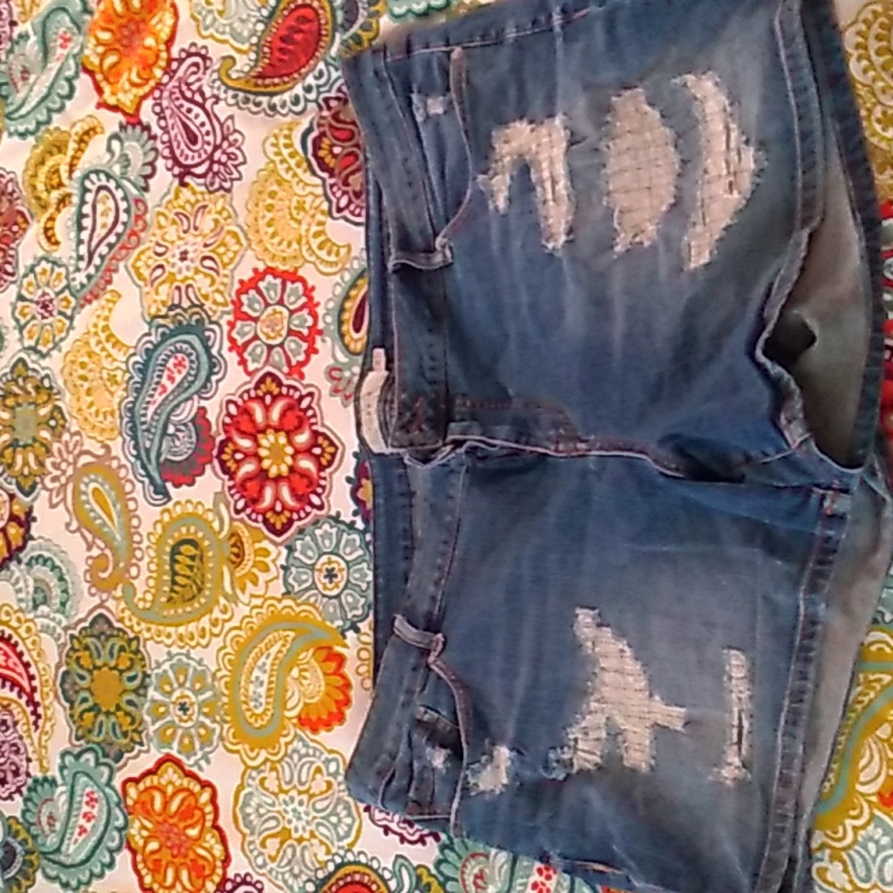 Torrid plus distressed jean shorts size 24